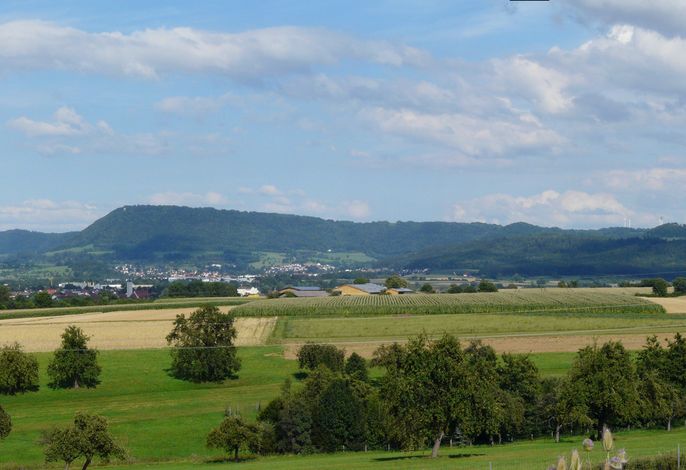 Bild 24