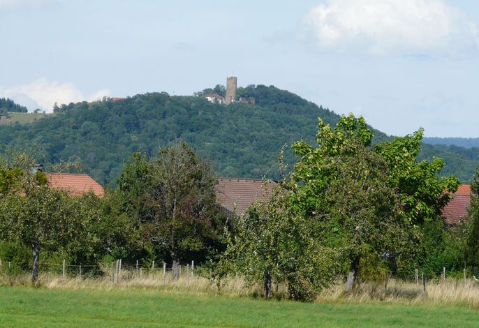 Bild 9