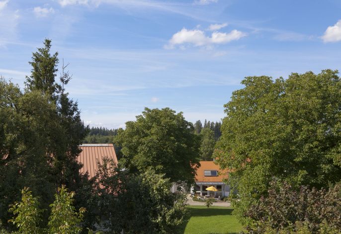 Bild 34