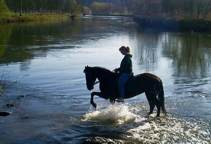 Bild 21