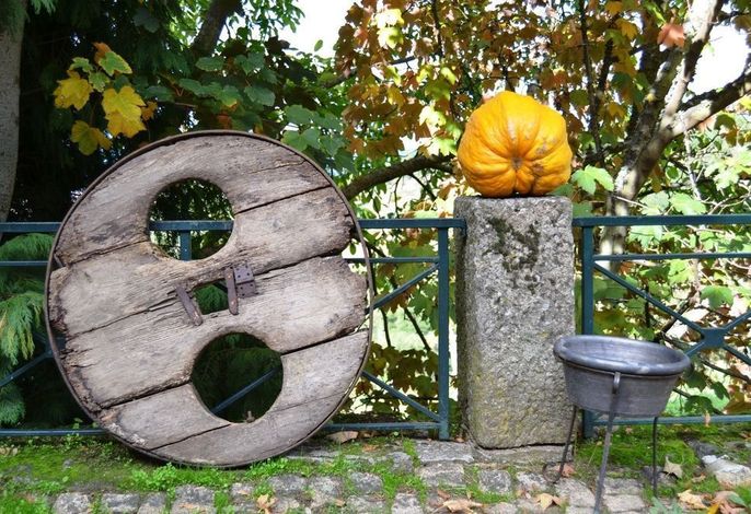 Bild 47