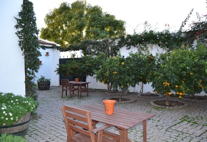 Bild 24