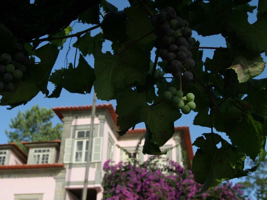 Quinta da Picaria