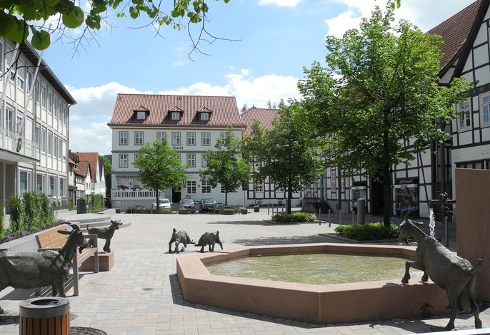 Bild 12
