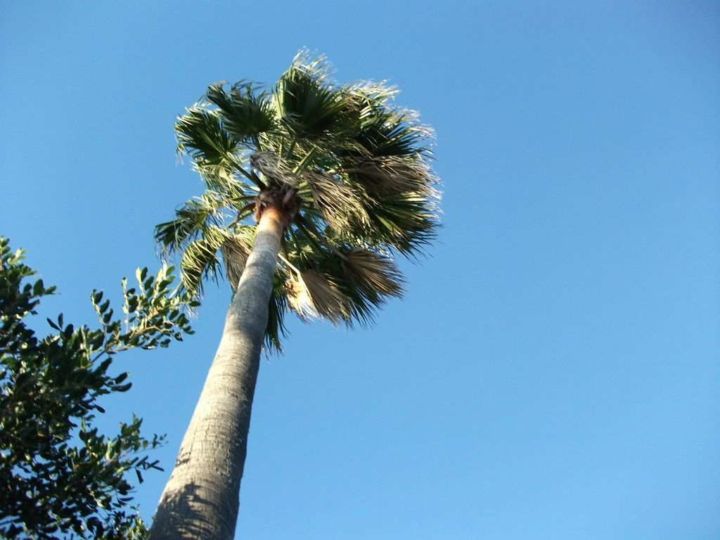 Finca Libertad Mallorca SL