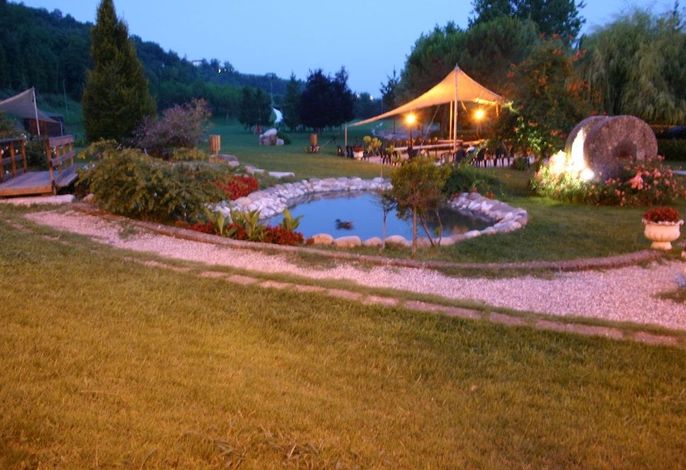 Bild 118