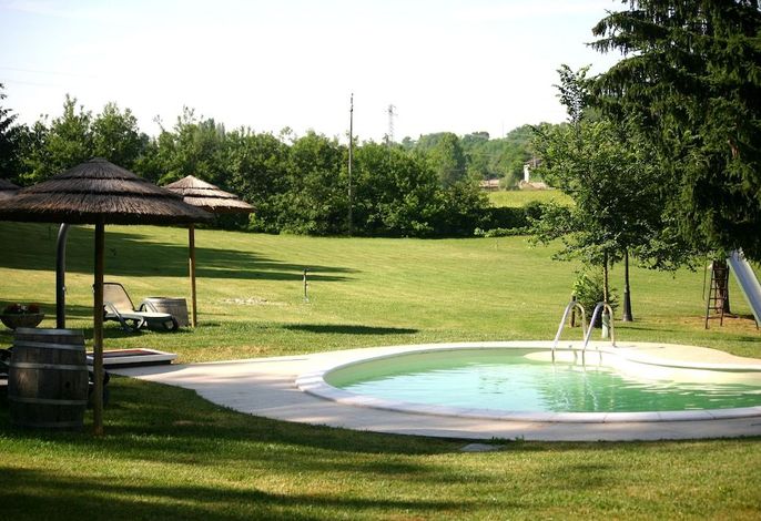 Bild 242