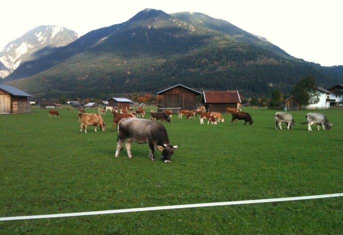 Bild 40