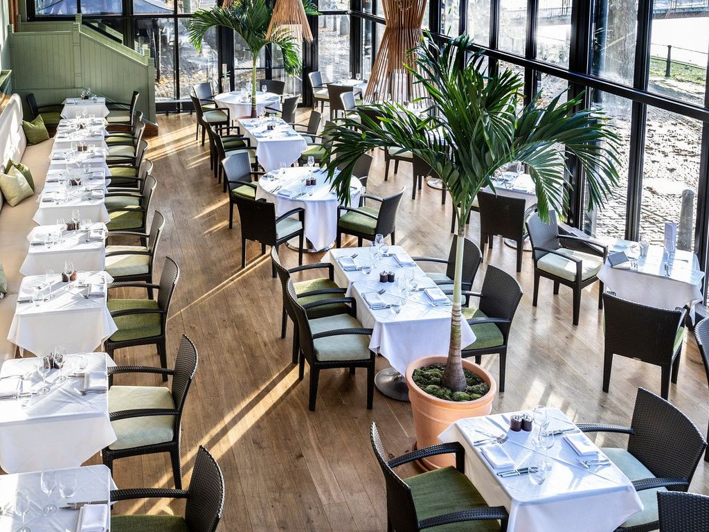 The Bristol