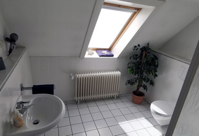 Bild 16