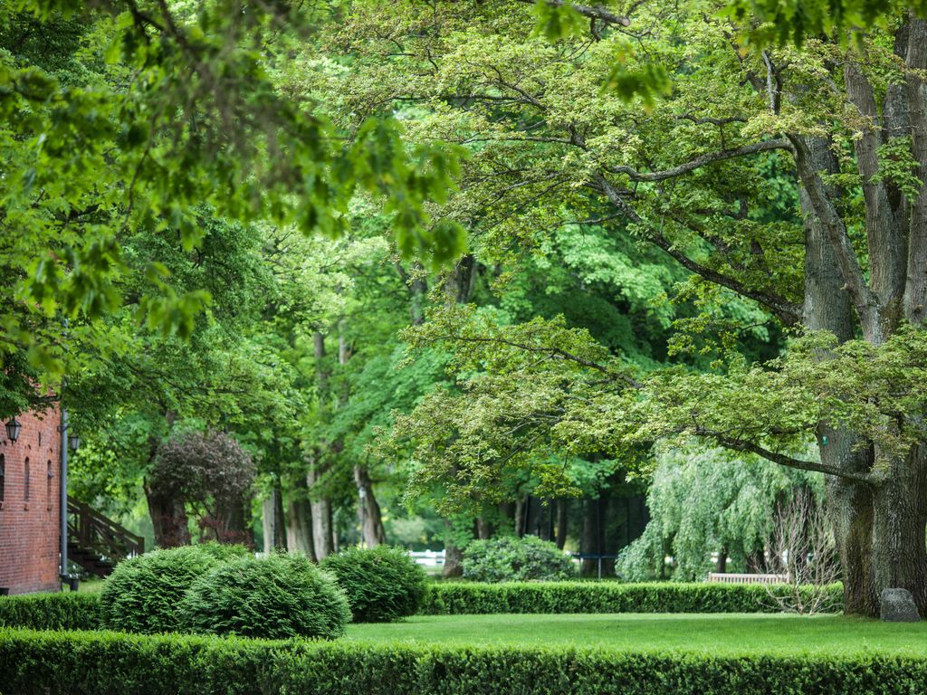 Pałac Ciekocinko Hotel Resort&Wellness