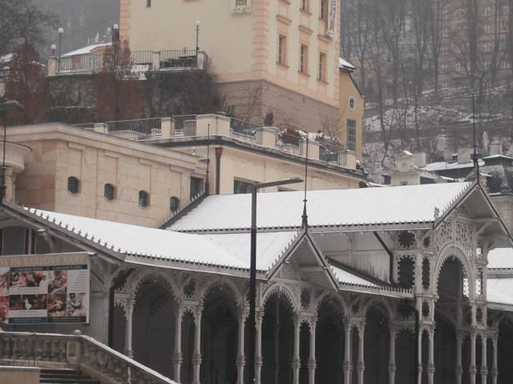 Orchidej u vřídla Apartment