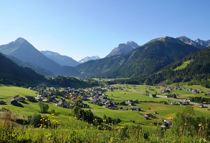 Bild 7