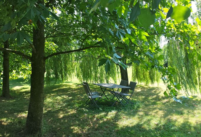 Bild 33