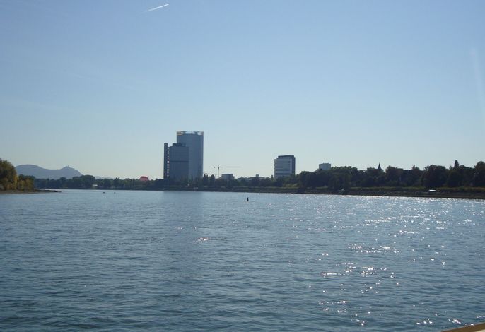 Bild 49