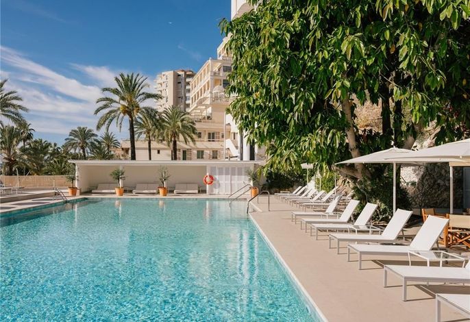 Bild 35