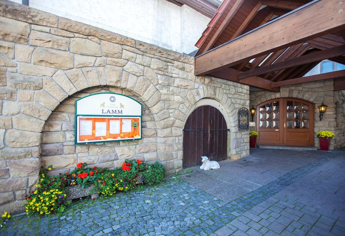 Bild 25