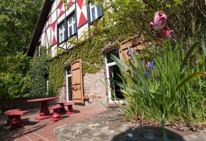 Bild 16