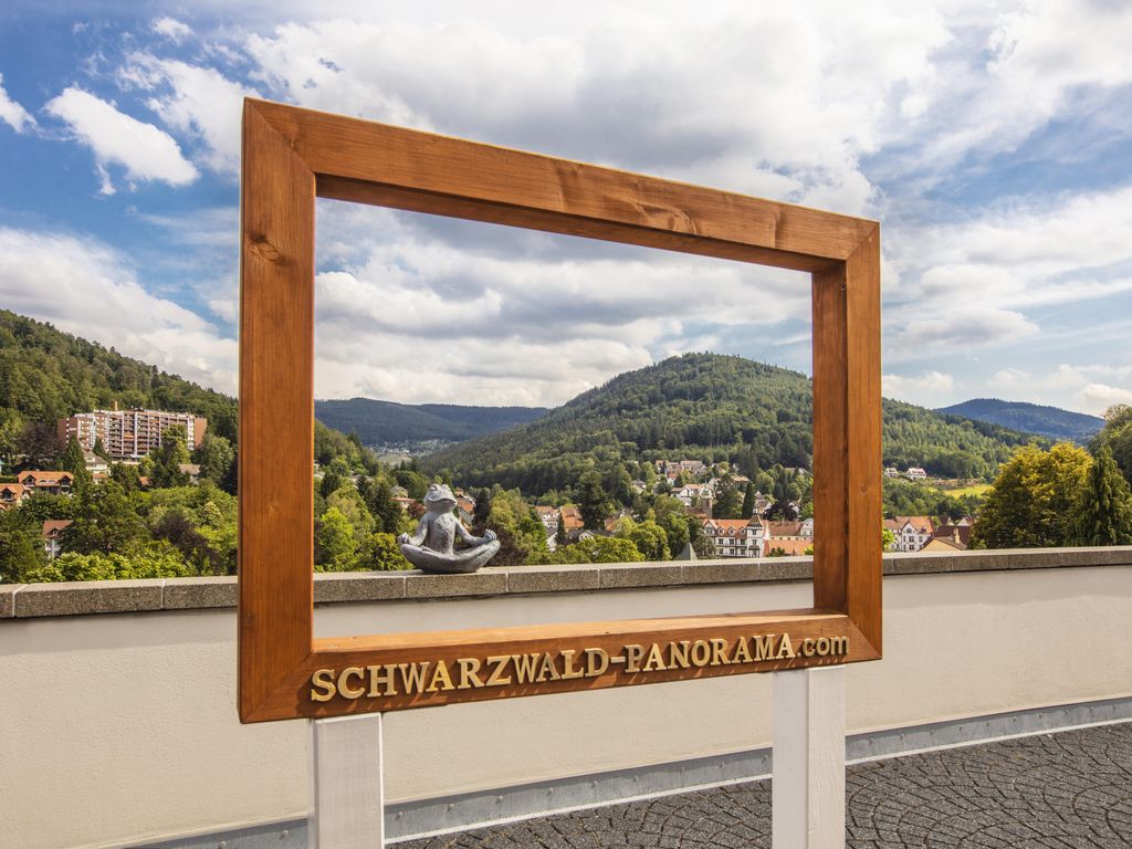 Schwarzwald Panorama