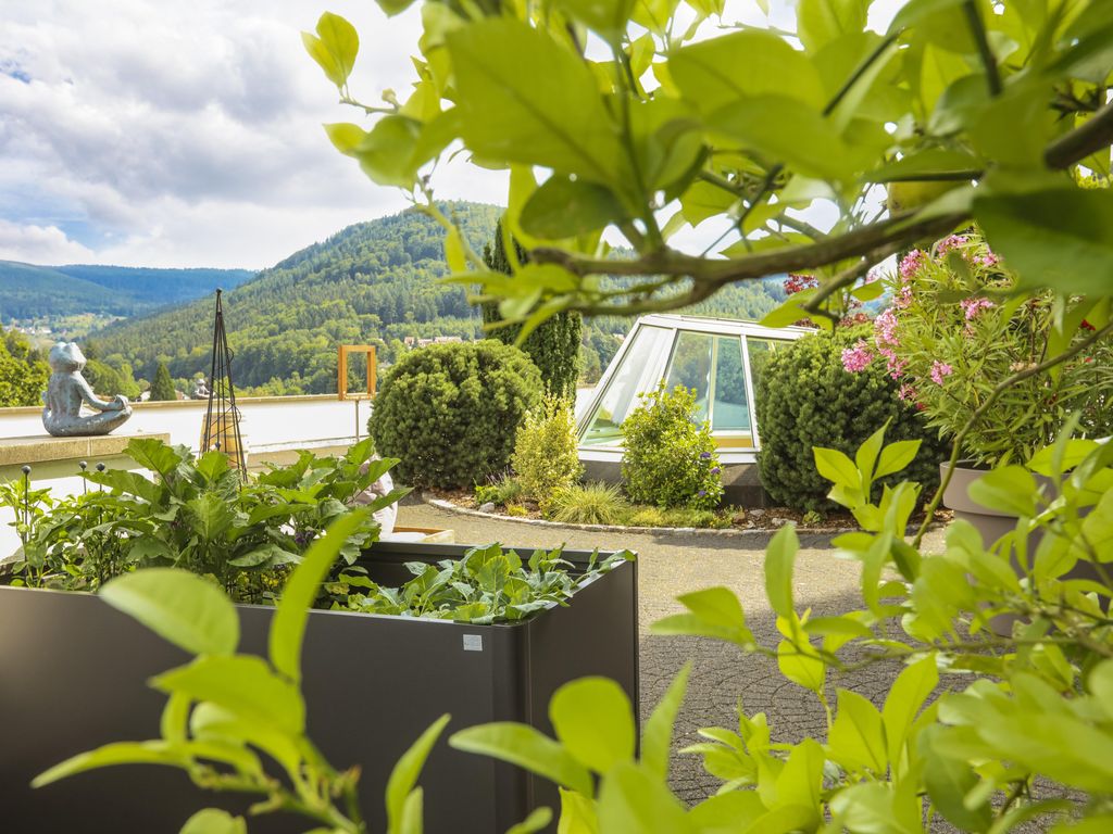 Schwarzwald Panorama