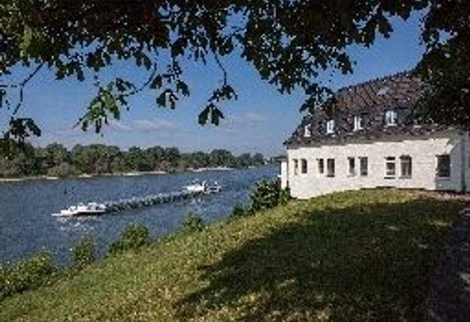 Schnellenburg am Rhein