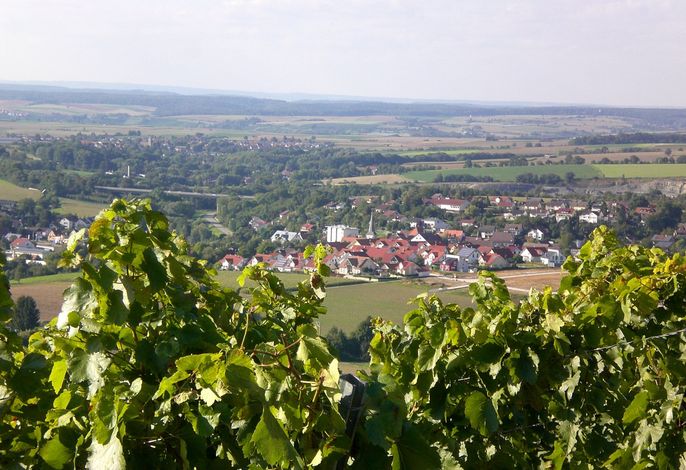 Bild 8