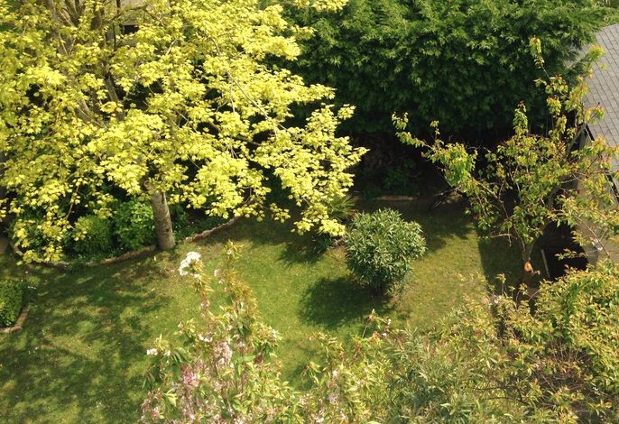 Bild 15