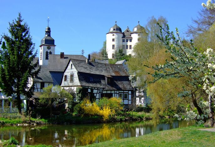 Bild 11