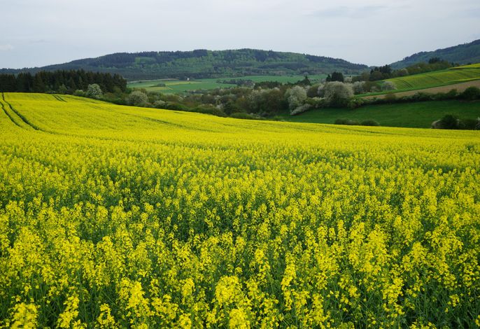 Bild 13