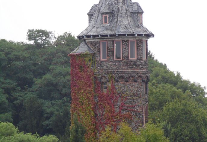 Bild 20