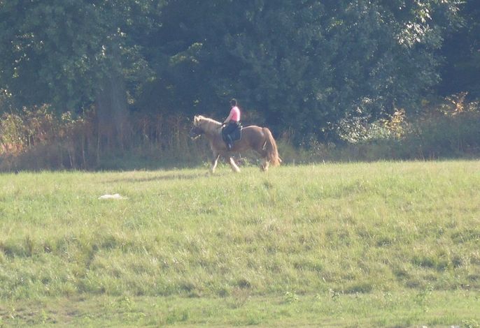 Bild 19