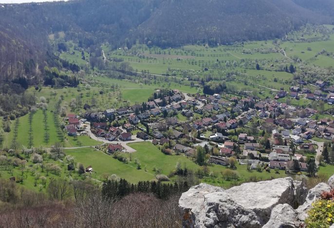 Bild 15