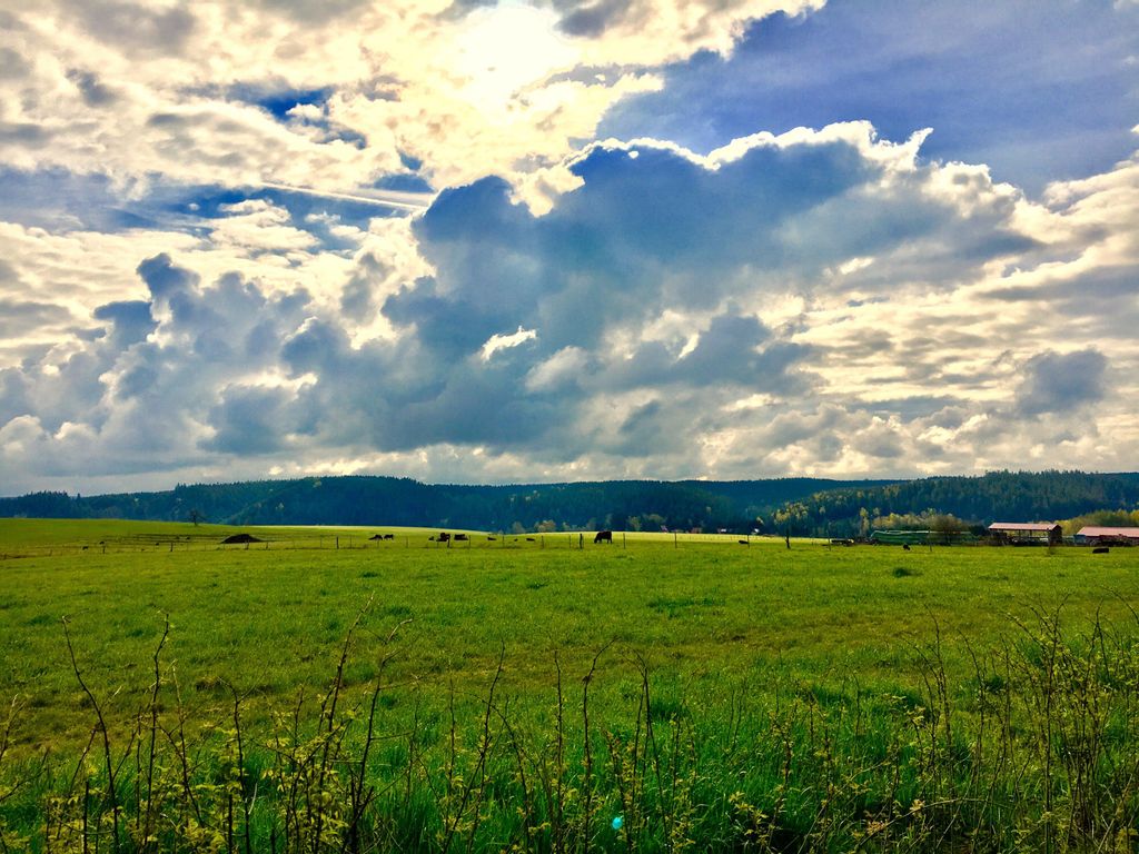 waldhotel AUSZEIT