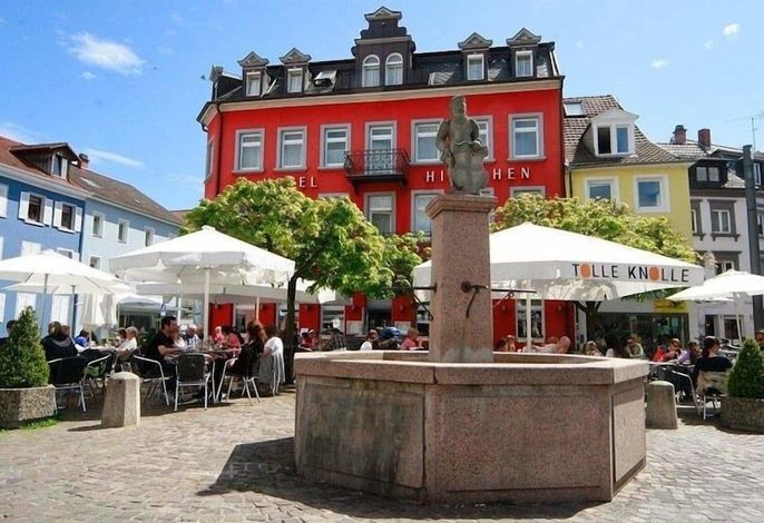 Bild 8
