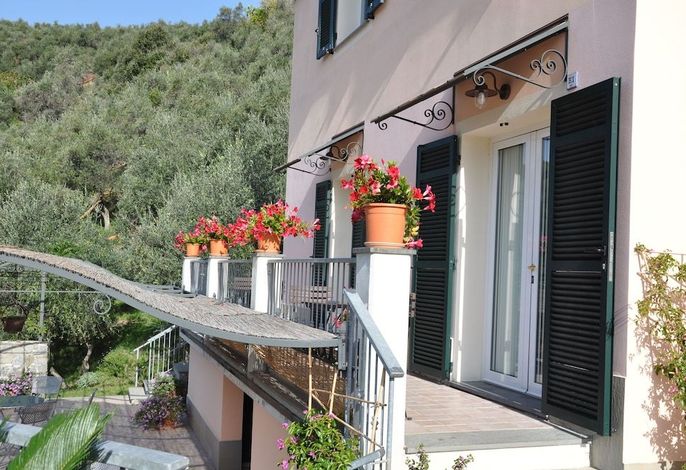 Bild 67