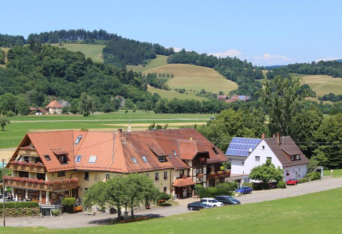 Bild 12