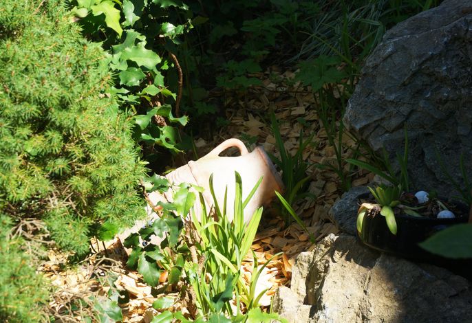 Bild 13