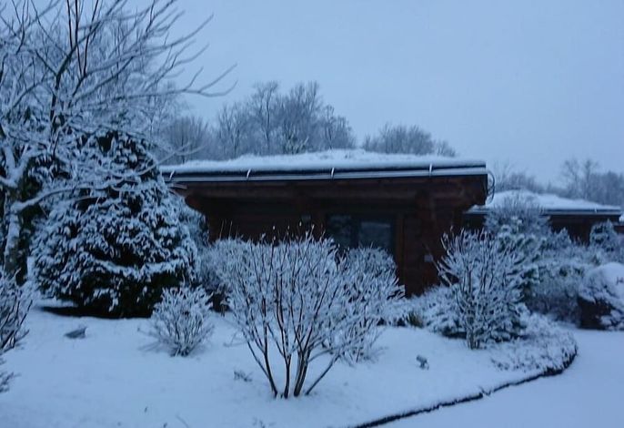 Bild 42