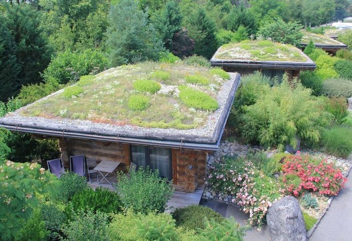 Bild 41