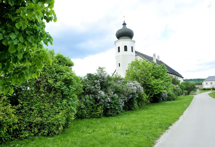 Bild 19