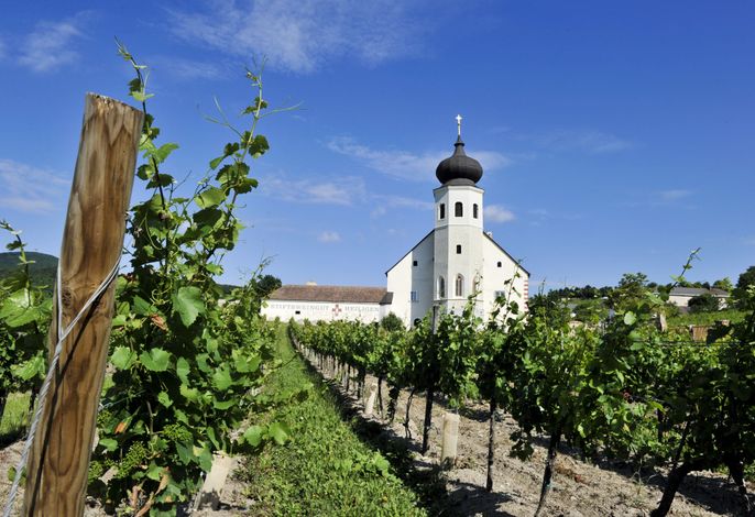 Bild 13