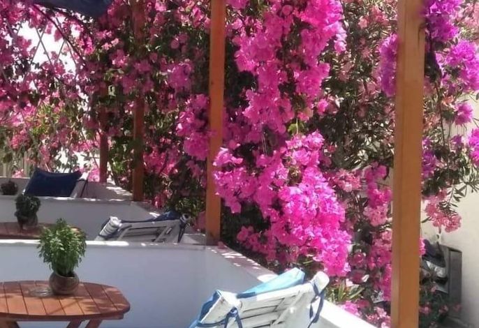 Doron Hotel Delfini