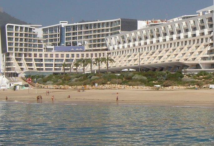 Bild 11