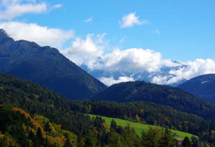 Bild 15