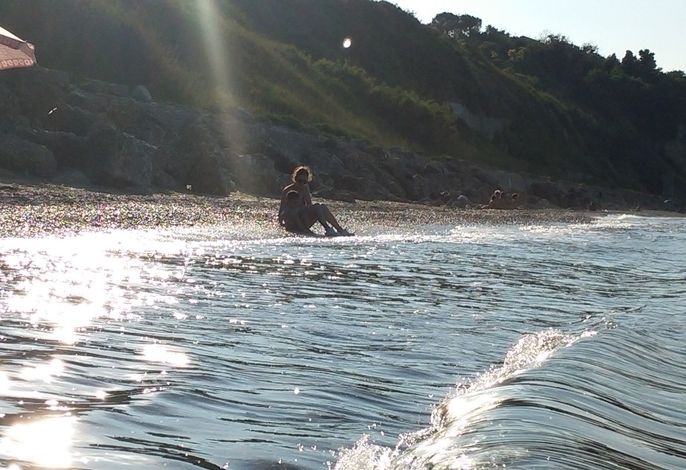 Bild 19