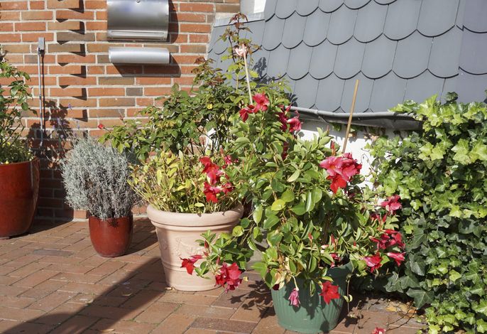 Bild 18