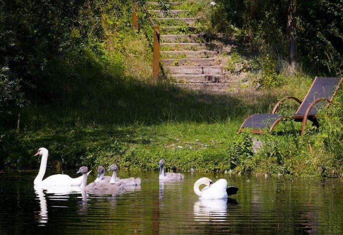 Bild 17