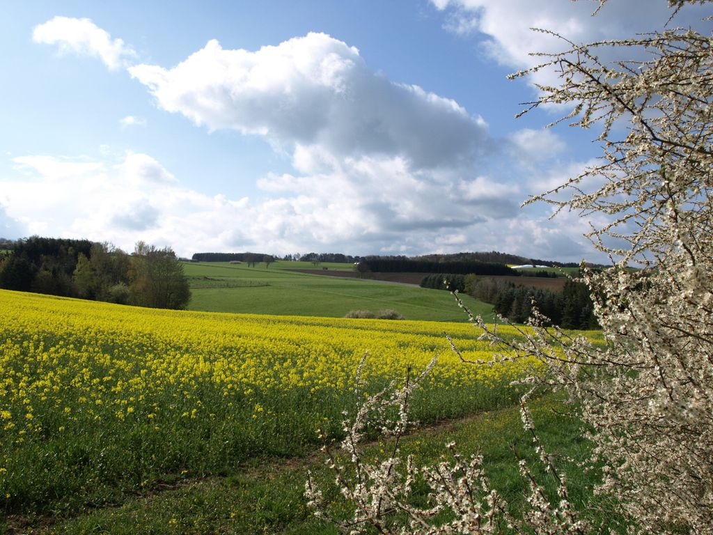 B&B Eifelpension Brückenschenke