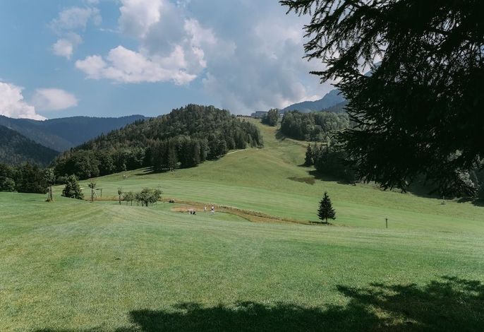 Bild 14