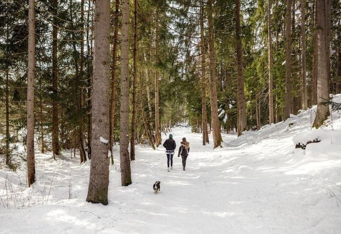 Bild 16